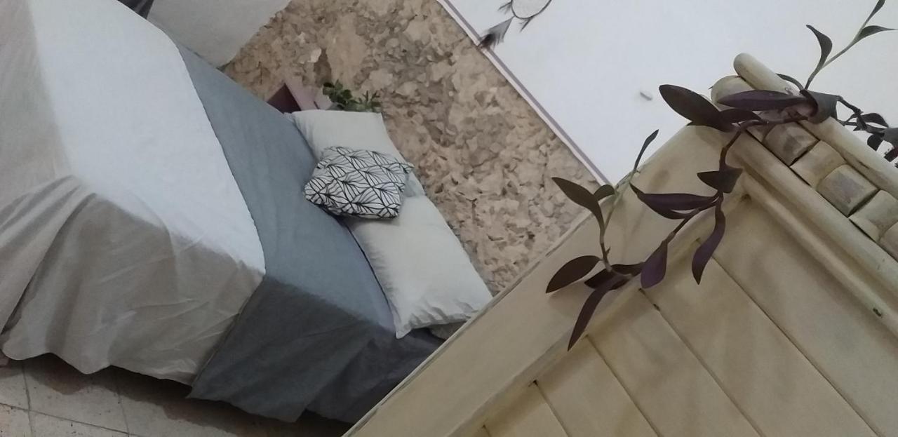 Akasha Hostel 梅里达 外观 照片
